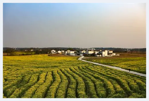 自建房常识 | 农村自建房户型空间按这些来设计，住起来不要太舒适 | 自建房常识