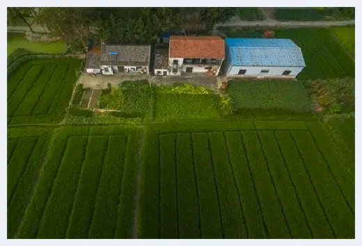 城市自建房 | 红砖与空心砖的区别究竟在哪？看完它们的优缺点一目了然！ | 城市自建房