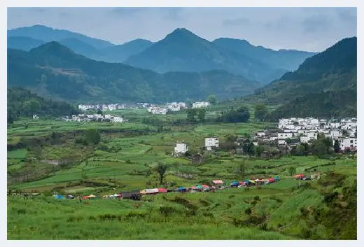 城市自建房 | 住宅有柿子树风水好吗？种风水树有哪些讲究？ | 城市自建房