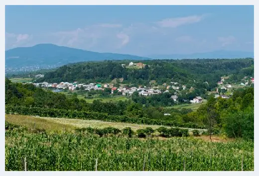 自建房常识 | 住宅和公寓有什么区别？自己一定要心里有数 | 自建房常识