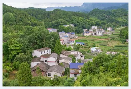 城市自建房 | 50平米花园庭院设计注意什么？庭院景观植物如何布置？ | 城市自建房