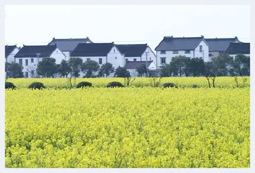 城市自建房 | 大房子住人少一定不好吗？住大房子要怎么调整风水？ | 城市自建房