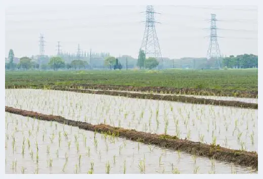 自建房指南 | 耕地红线指的是什么？永久基本农田保护红线政策是怎样的？ | 自建房指南