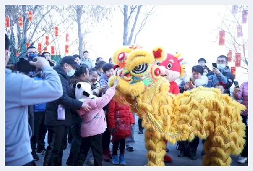 农村自建房 | 河北保定：市场就是人心，春节期间华中彩虹城再次热势登峰 | 农村自建房