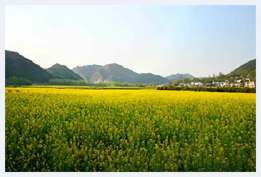 自建房百科 | 农村土地管理严格的情况下能在农田上建房吗,会不会不合法? | 自建房百科