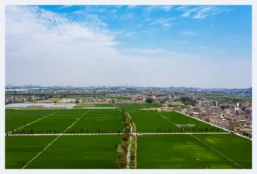 自建房百科 | 房子空着借给朋友住好吗？房子风水当心这三点！ | 自建房百科