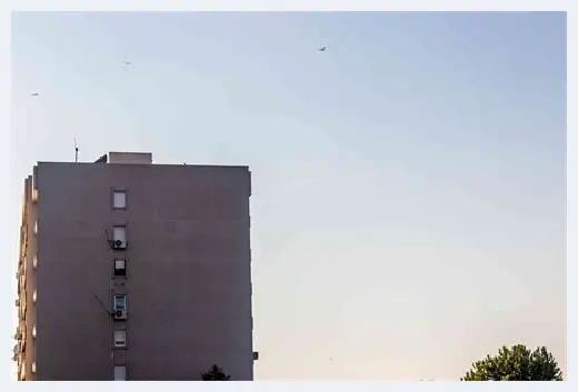 自建房知识 | 乌木怎么保养 | 自建房知识