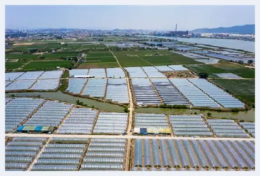 自建房资料 | 农村院墙风水，切莫视而不见 | 自建房资料