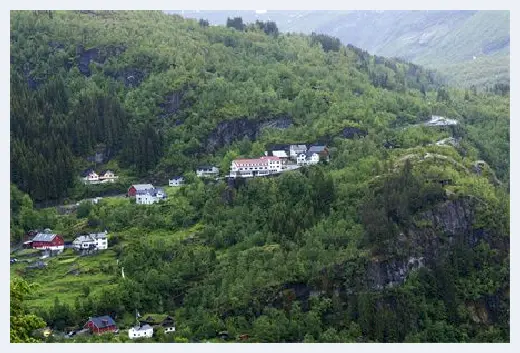 城市自建房 | ​基本农田建房强拆程序，基本农田建房强拆可以申请赔偿吗？ | 城市自建房