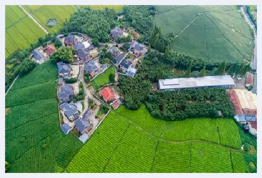 自建房科普 | 七种阴宅最好的坐向，选好阴宅护佑子孙后代 | 自建房科普