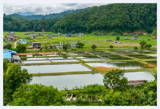 城市自建房 | 房屋没有征收补偿是什么原因？房屋没有征收可以改建吗？ | 城市自建房