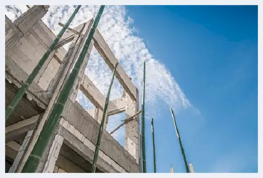 自建房学堂 | 小小植物即可改变风水运势，这样摆放想不旺都难！ | 自建房学堂
