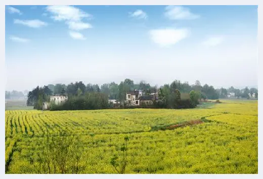 自建房学堂 | 电表显示跳闸怎么办？电表灯亮有着不同的意思 | 自建房学堂