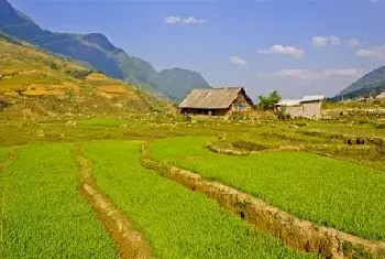 自建房学堂 | 丁字路口的房子风水如何化解？丁字路口会产生这些煞气定要注意