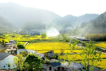 自建房科普 | 钢丝绳夹类别及使用方法，不看不知道一看全明了