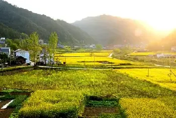 自建房知识 | 买二手房四大风水忌讳是哪些？入宅后住几天才能离开？