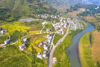 自建房指南 | 院子里种茶花树风水好吗？院子里种茶花树有什么讲究？