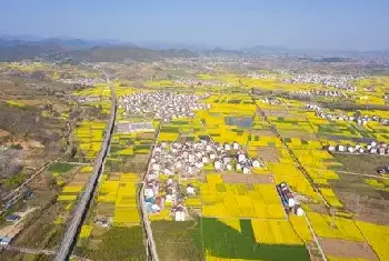 自建房资料 | 临朐县东城街道多个村庄要征收土地了，快看详细征地名单！