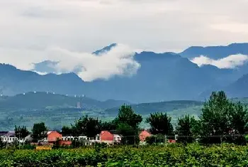 自建房科普 | 十大阳台化煞招财的植物！快把旺宅镇宅植物搬回家