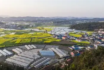 自建房科普 | 庭院大缸养荷花风水好位置在哪？养荷花如何施肥？