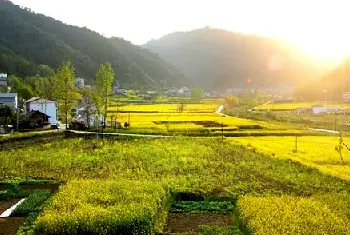 自建房知识 | 宅基地使用权可以抵押贷款吗？看完明明白白！