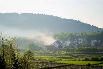 自建房教程 | 卧室辟邪可以放桃木哦，但是要注意它的摆放位置