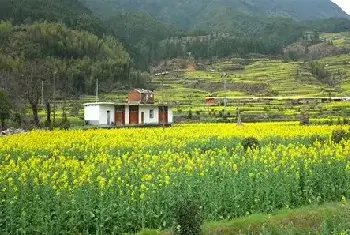 自建房科普 | 活人提前买墓地忌讳有哪些？墓地看风水掌握这些就够了