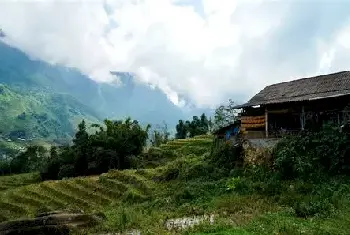 自建房学堂 | 屋后种树好吗？屋后种什么树风水好？