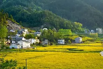 自建房百科 | 邻居家屋顶比我家高好吗？风水不好怎么办？