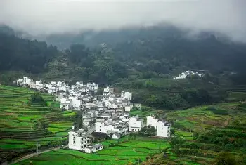 自建房科普 | 简约又耐看的农村自建房推荐，想要建房的你不容错过！