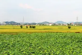 城市自建房 | 农村建房面积怎样计算？足不出户也能学到手