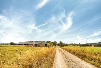 自建房指南 | 农村已建房耕地如何确权？想知道详情的看这里