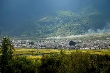 自建房学堂 | 海棠树摆放的风水禁忌是什么？看完真是不容小觑