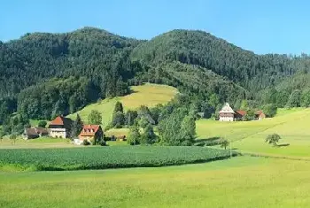 自建房科普 | 在耕地建房必须拆除吗,可以申请保留房子吗?