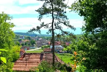 农村自建房 | 商住房与住宅房的区别是什么？商住房的优点有哪些？