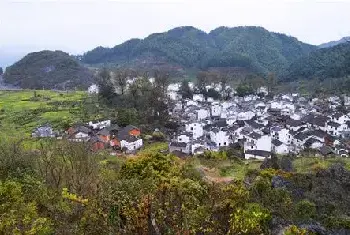 自建房学堂 | 林地建房必须拆除吗？农村建房可以砍古树吗？