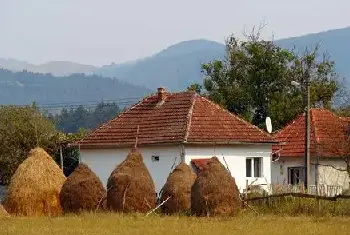 自建房教程 | 农村的自留地不能乱建房,忽视这些问题将会被收!