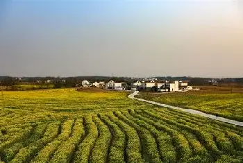 自建房 | 房屋门前有哪些风水禁忌？别慌，先来了解一番