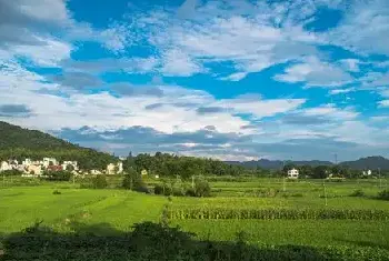 自建房科普 | 正确解读农村住宅用地的三权分立政策