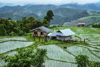 自建房指南 | 农村建房子怎么算是违建?未经审批超过标准的，你中了吗？