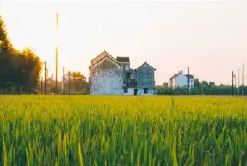 城市自建房 | ​一面墙上两个门并列犯大煞！为何一墙不容二门？