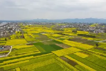 自建房科普 | 2019年廊坊农村建房政策是什么？看完一目了然