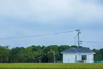 自建房 | 每个属相的招财花分别是什么？不同属相养花有哪些讲究？