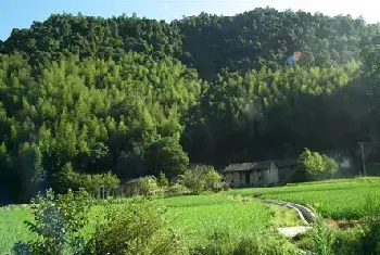 自建房 | 普通住房和非普通住房的区别，这几条购房事项要了解！