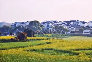 自建房百科 | 其实房屋后面有条河对家里的运势影响也不是很坏哦