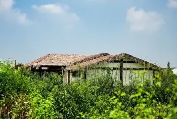 自建房 | 家门前的台阶有哪些风水禁忌？几节台阶会带来好运？