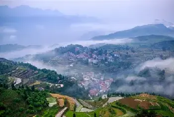 自建房学堂 | 庭院种什么花风水好？庭院种花风水注意事项有哪些？