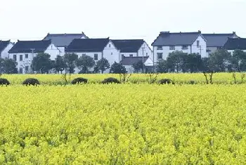 城市自建房 | 大房子住人少一定不好吗？住大房子要怎么调整风水？