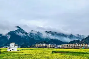 自建房科普 | 什么是住宅用地？住宅用地和居住用地区别，看完秒懂