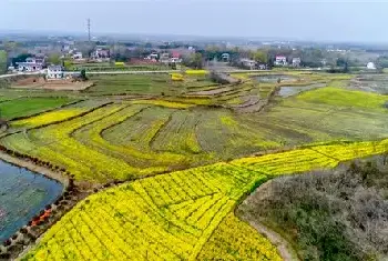 农村自建房 | 灶台坐西向东坐吃山空？灶台朝向风水禁忌有哪些？